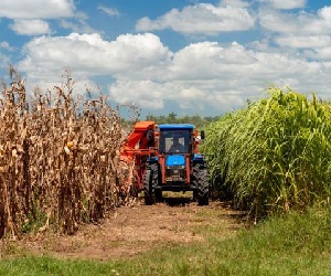 Cuba Agricultura Diaz Canel